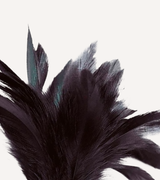 Prestige Svart Fjäderduster